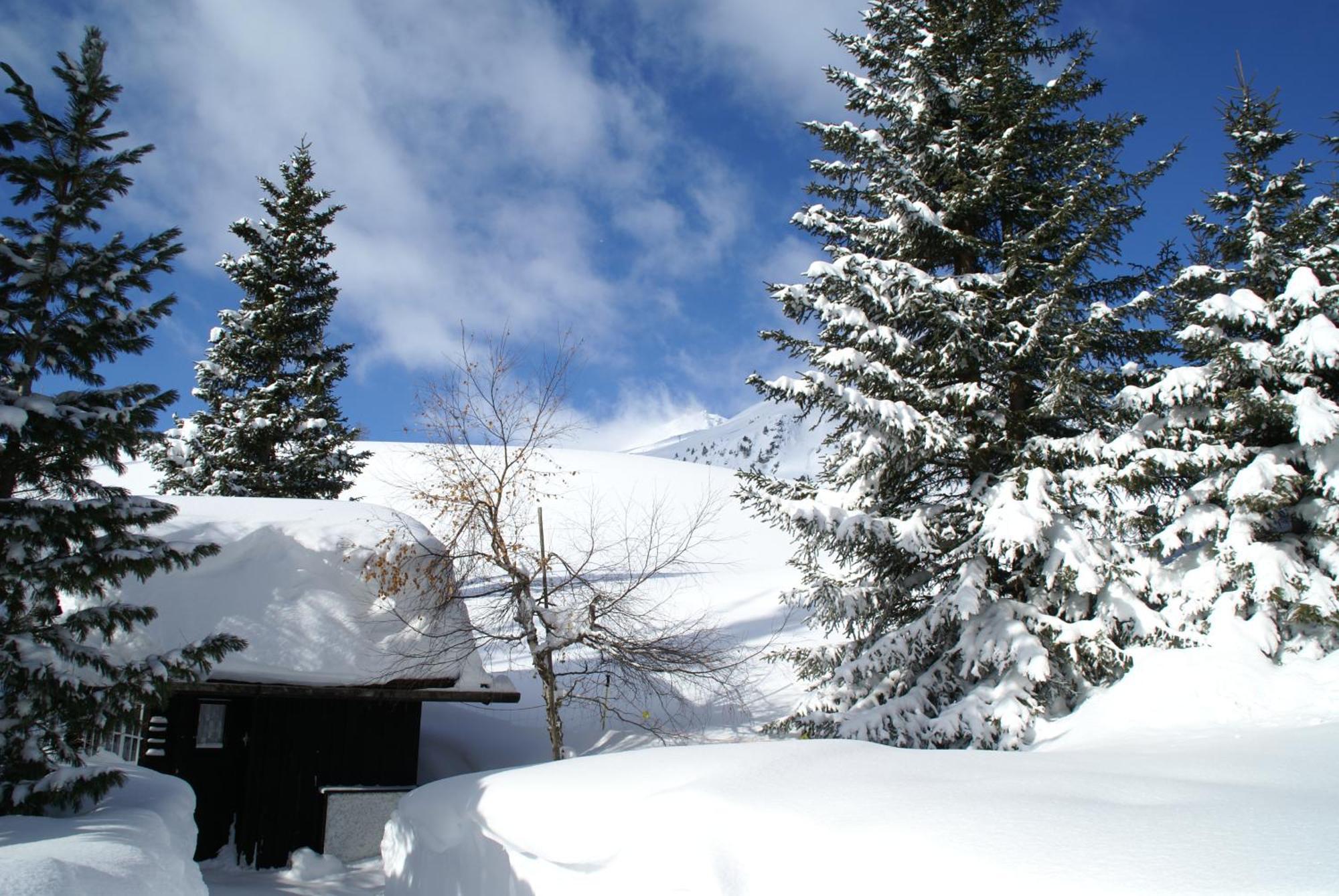Chalet Baur Ароса Екстериор снимка